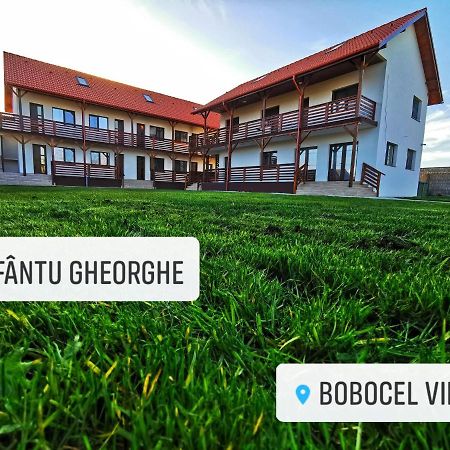 Bobocel Villa Sfântu Gheorghe Buitenkant foto